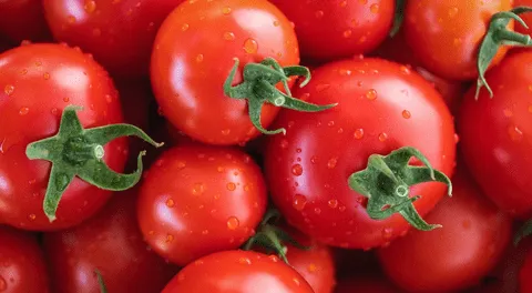 La quiebra en EE. UU. amenaza la estabilidad de dos plantas mexicanas.