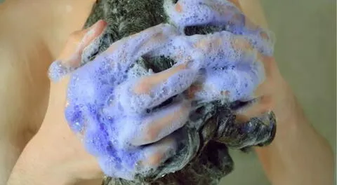 A través de un comunicado oficial, la Cofepris anunció el retiro inmediato del shampoo Totale de Tec Italy por la presencia de una peligrosa bacteria en México. A través de un comunicado oficial, la Cofepris anunció el retiro inmediato del shampoo Totale de Tec Italy por la presencia de una peligrosa bacteria en México.