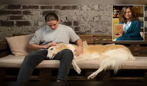 Mascotas: ¿Cómo seguir sin nuestro animal de compañía?