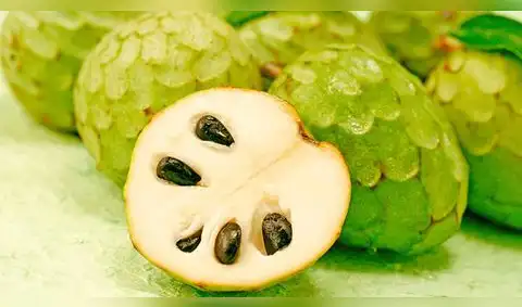 Beneficios de la chirimoya: cómo consumirla para aprovechar sus efectos antidepresivos y para la presión arterial