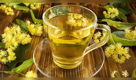 Propiedades del tilo: beneficios, usos y cómo prepararlo