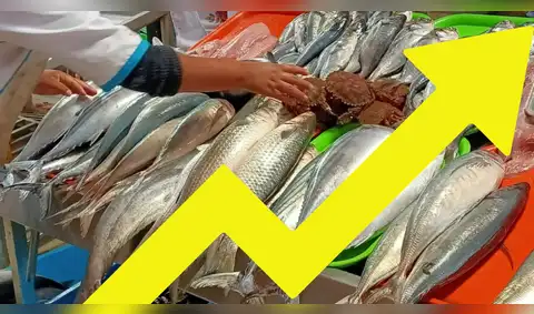 ¡SUBIÓ EL PESCADO! Oleajes anómalos elevan los precios en los mercados de Lima: Conoce los nuevos costos