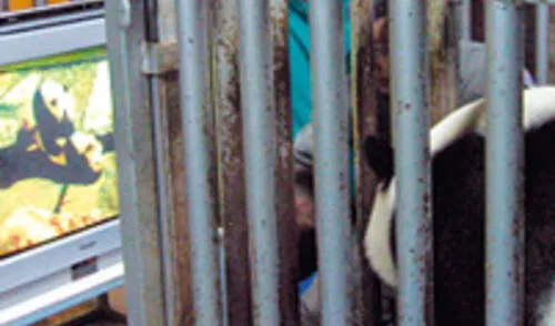 elpopular.pe elpopular.pe