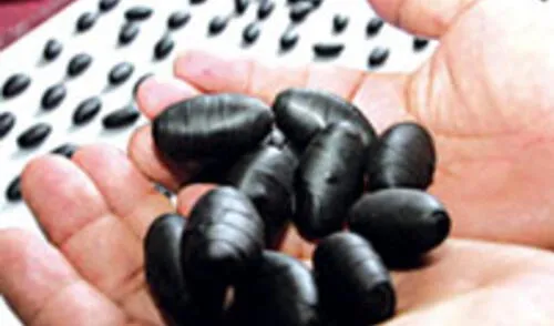 elpopular.pe elpopular.pe