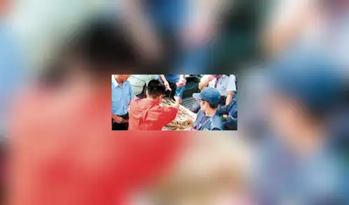 elpopular.pe elpopular.pe