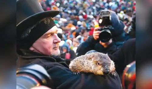 Marmotita. elpopular.pe