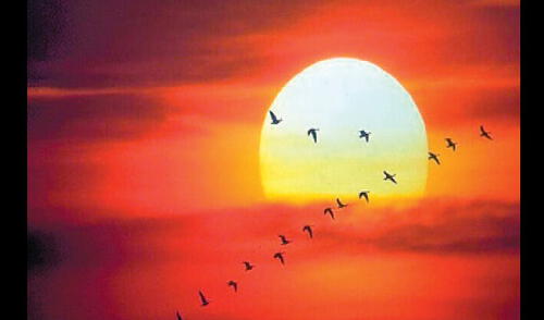 Debido a de su lento movimiento de rotación, tiene también un leve achatamiento polar. Su luz calienta nuestro planeta. elpopular.pe