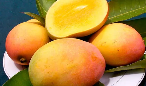 Un mango al día puede cubrir la vitamina C que requiere el cuerpo. elpopular.pe