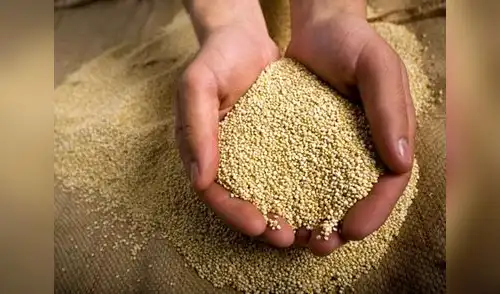 Favorece el crecimiento de los niños. elpopular.pe