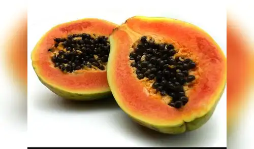 La papaya. elpopular.pe