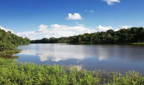 Un grupo de investigadores cree que en las zonas vírgenes del parque se halla el Paititi o ciudad perdida de los incas. elpopular.pe