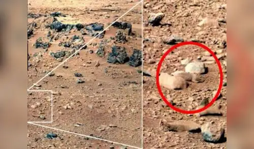 Supuesta rata en Marte hallada por Curiosity elpopular.pe