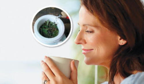 Ayuda a reducir los dolores menstruales y los bochornos de la menopausia. elpopular.pe