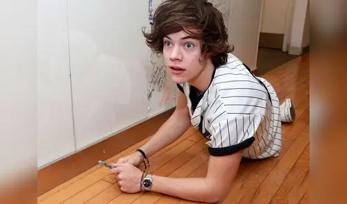 Harry Styles niega rotundamente ser bisexual. elpopular.pe