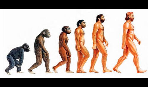 El origen de las especies. elpopular.pe