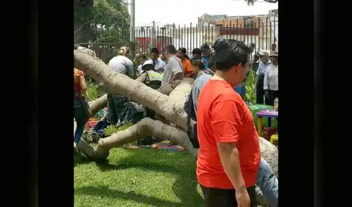 Pudo ocurrir una tragedia. elpopular.pe