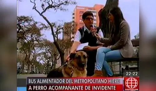 Joven denunció chofer de un alimentador del Metropolitano al no dejarlo ingresar con su perro lazarillo. elpopular.pe
