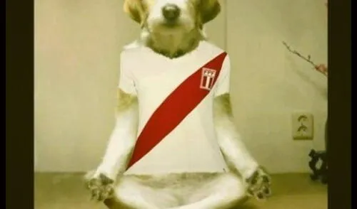 Memes calientan la previa del Paraguay vs. Perú elpopular.pe
