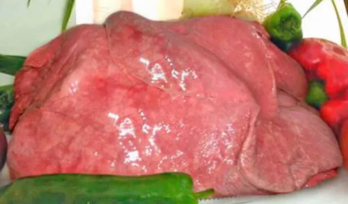 El bofe es una víscera nutritiva. elpopular.pe