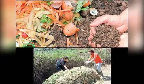 Haciendo compost ayudas a reducir la basura que se bota al día elpopular.pe