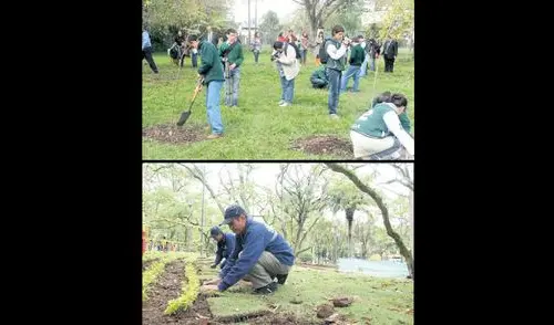 Según estudios, interactuar con la naturaleza fomenta la creatividad y las capacidades mentales y afectivas elpopular.pe