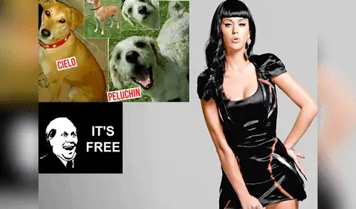 Recompensa para quienes lo encuentren elpopular.pe