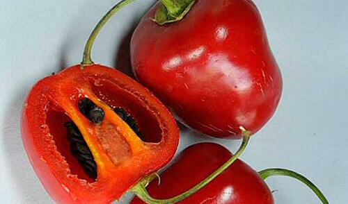 También tiene efecto antioxidante por su alto contenido en vitaminca c. elpopular.pe