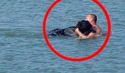 Biólogo no dudo en rescatarlo elpopular.pe