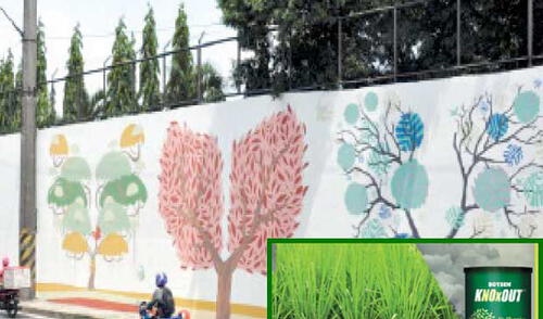 Un metro cuadrado de esta pintura equivale al trabajo de un árbol. elpopular.pe