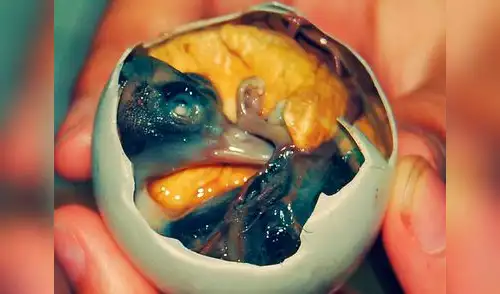 Balut. elpopular.pe