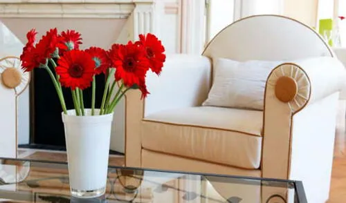 Tus flores necesitan estar en un ambiente adecuado. elpopular.pe