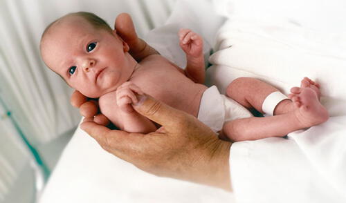 Estos bebés dependen de padres listos para criarlos y protegerlos elpopular.pe
