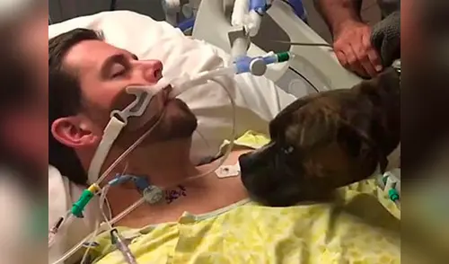 El hospital accedió a la visita de la mascota en sus salas elpopular.pe