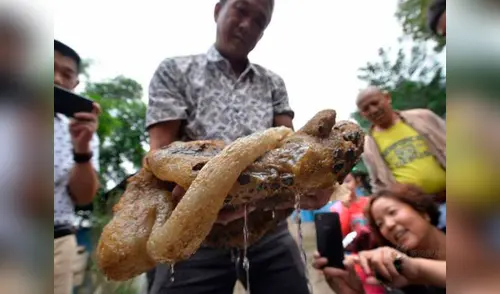 El pescador se volvió famoso gracias a su hallazgo elpopular.pe
