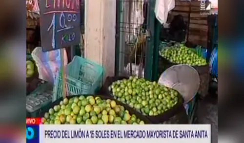 Precio del limón se vende a 10 soles el kilo en mercado mayorista de Santa Anita elpopular.pe
