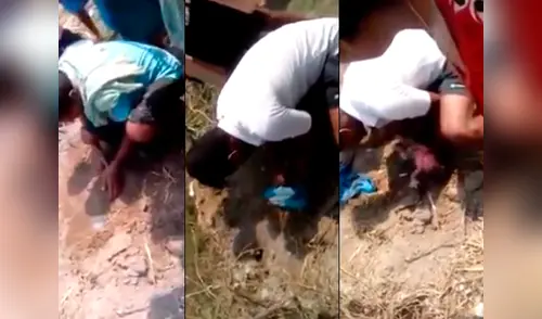 La menor estaba enterrada junto a una manta elpopular.pe