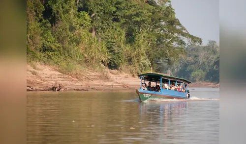 Prepárate para disfrutar la Semana Santa en la naturaleza de Tambopata en Madre de Dios elpopular.pe