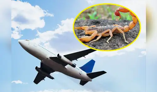 Siguen en las críticas de los usuarios elpopular.pe