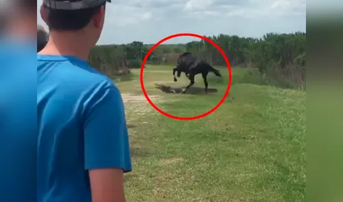 El caballo inició con el enfrentamiento elpopular.pe