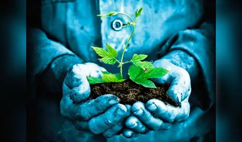 La esperanza de vida de la Tierra cada vez se ve más afectada elpopular.pe