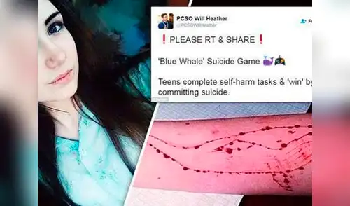 La 'ballena azul', el reto que pide a los participantes que se autolesionen y atenten contra su vida elpopular.pe