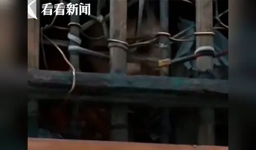 El hombre lucía pálido y muy delgado elpopular.pe