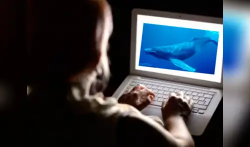Juego de la ballena azul capta más rápido a adolescentes con depresión y niños violentos elpopular.pe