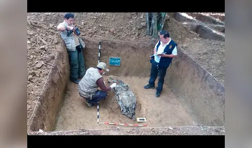 Forenses hallan el cadáver de otra víctima del caso Madre Mía en Huánuco elpopular.pe