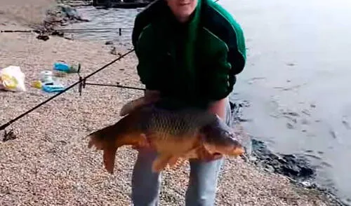 Hombre atrapa un enorme pez sin imaginar que pasaría por un momento vergonzoso elpopular.pe