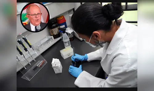 Prueba de ADN en procesos judiciales de filiación de hijos será gratuita elpopular.pe