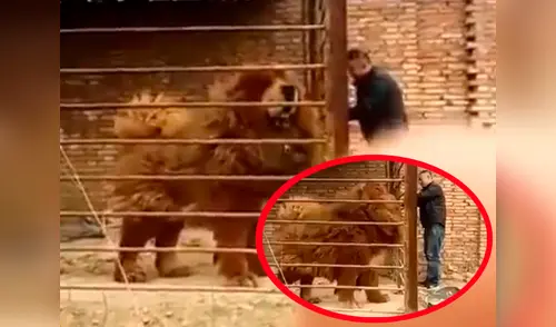 Enorme perro se vuelve viral en Facebook elpopular.pe