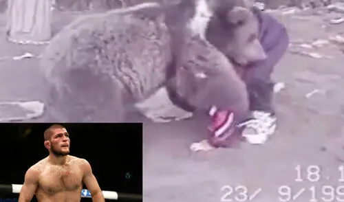 actual campeón ruso de la UFC entrenaba con osos cuando era niño elpopular.pe