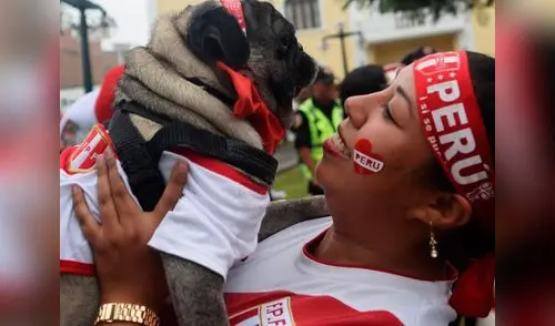 Estos curiosos perros le darán suerte a la selección elpopular.pe