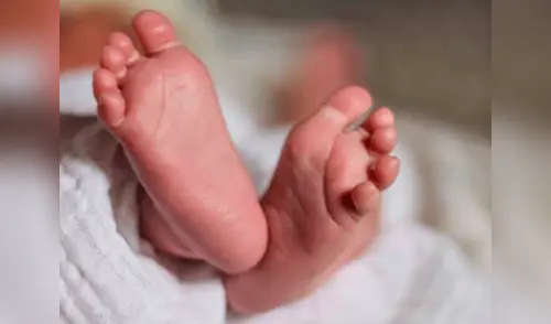 elpopular.pe elpopular.pe